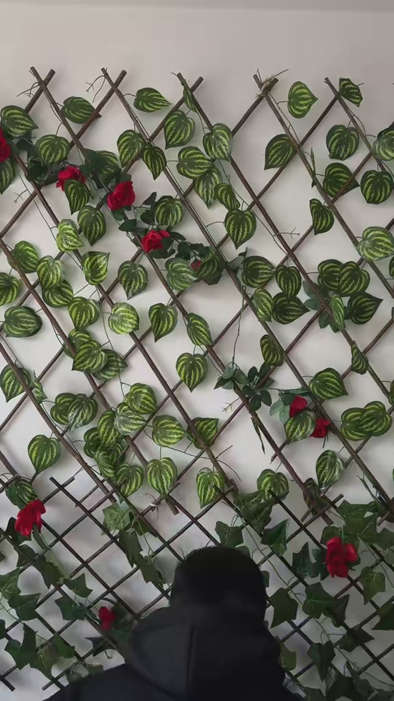 Buso Mago de Oz Clásico